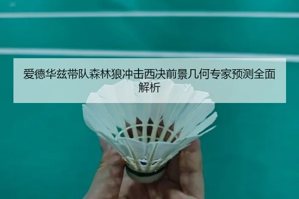爱德华兹带队森林狼冲击西决前景几何专家预测全面解析